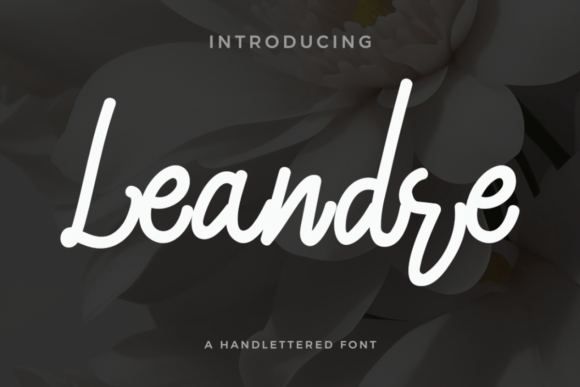 Leandre: The Script Handwritten Font for Campaigns